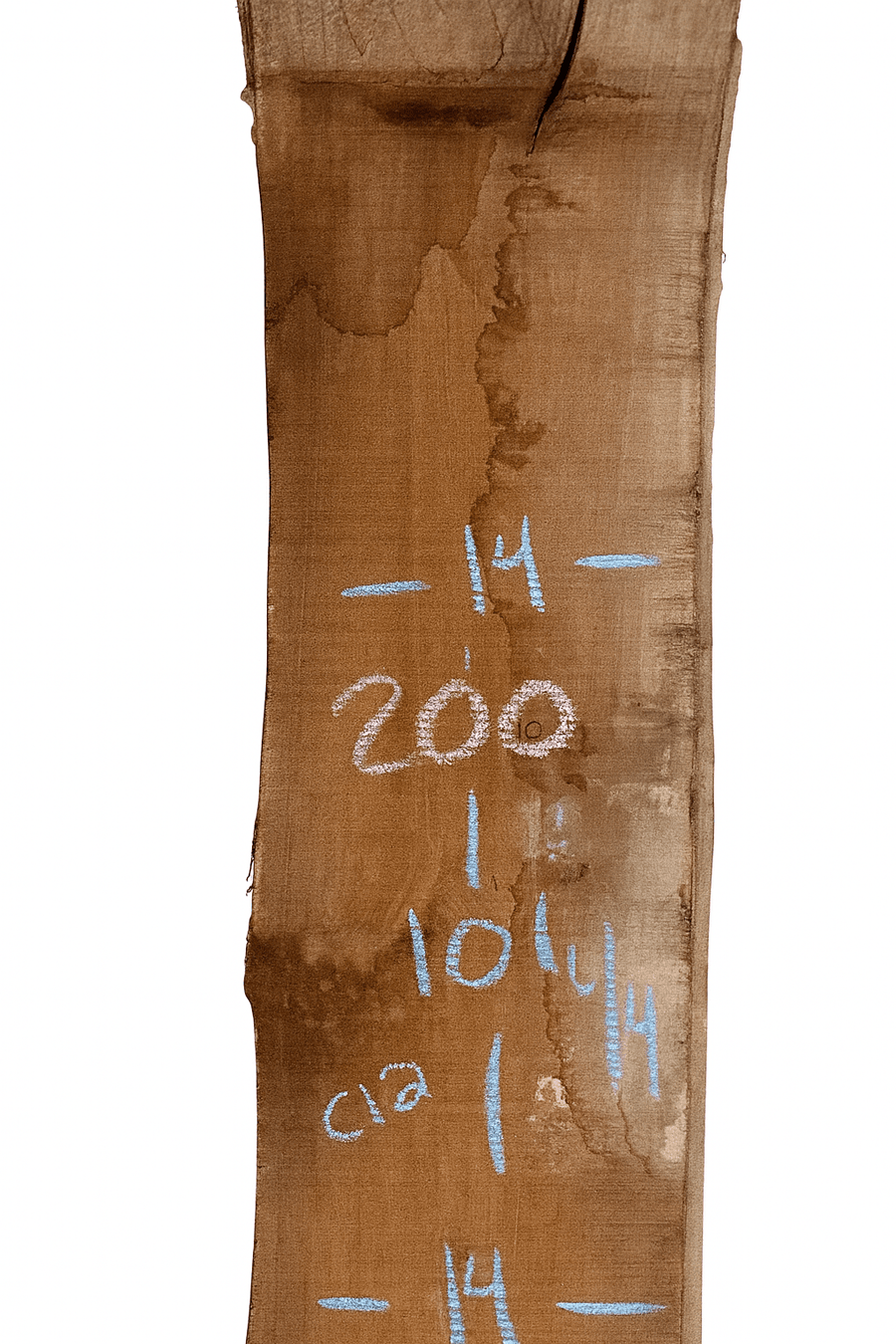 Premium Walnut Live Edge Slab (C12) - Kingma Lumber