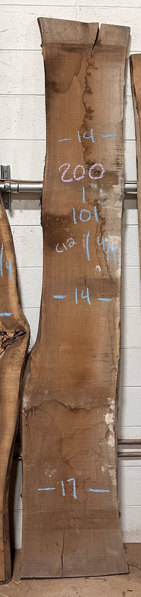 Premium Walnut Live Edge Slab (C12) - Kingma Lumber