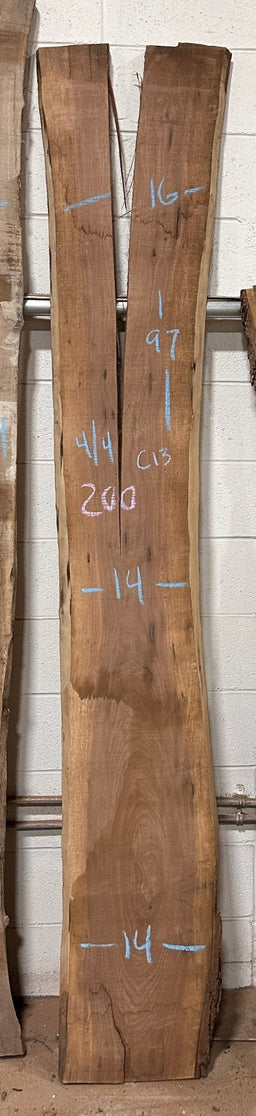 Premium Walnut Live Edge Slab (C13) - Kingma Lumber