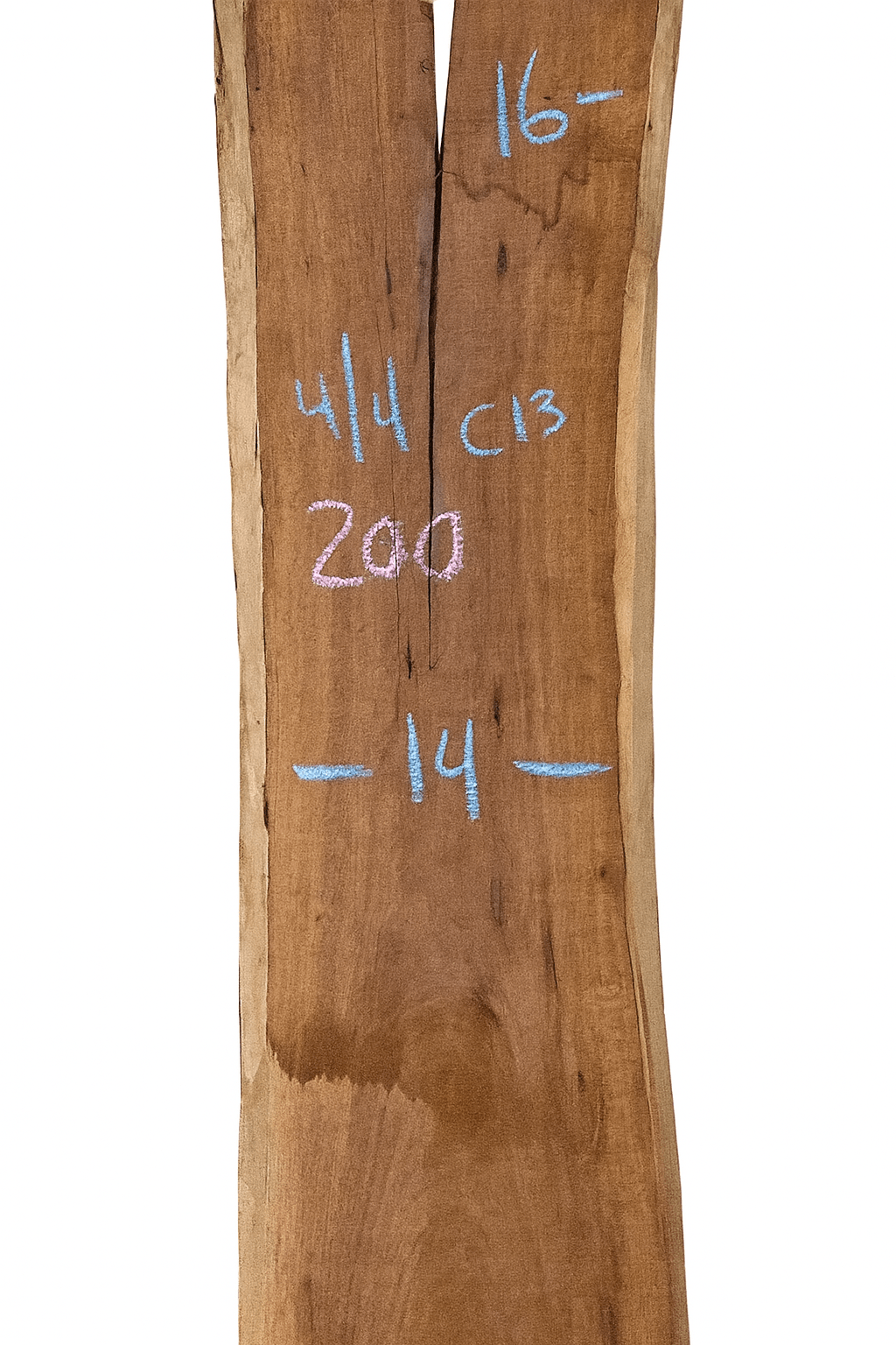Premium Walnut Live Edge Slab (C13) - Kingma Lumber