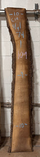 Premium Walnut Live Edge Slab (C14) - Kingma Lumber