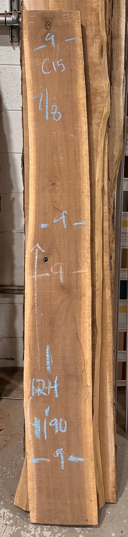 Premium Walnut Live Edge Slab (C15) - Kingma Lumber