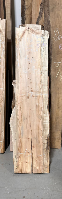 Spalted Maple Live Edge Slab (B06) - Kingma Lumber