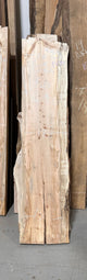 Spalted Maple Live Edge Slab (B06) - Kingma Lumber