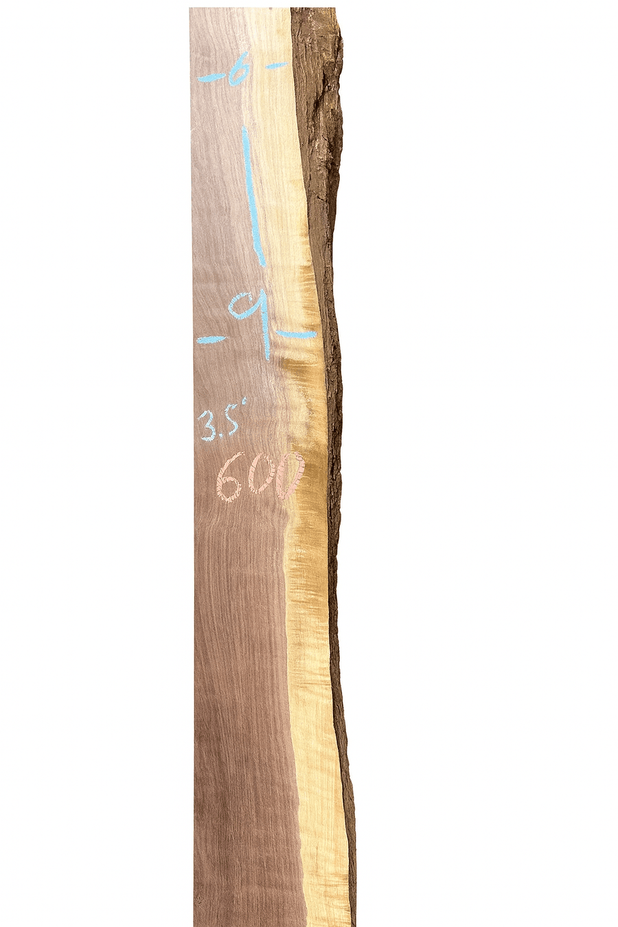 Walnut Live Edge Mantle Stock (C02) - Kingma Lumber
