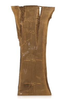 Walnut Live Edge Slab 3” Thick 508, 40” x 125” - Kingma Lumber