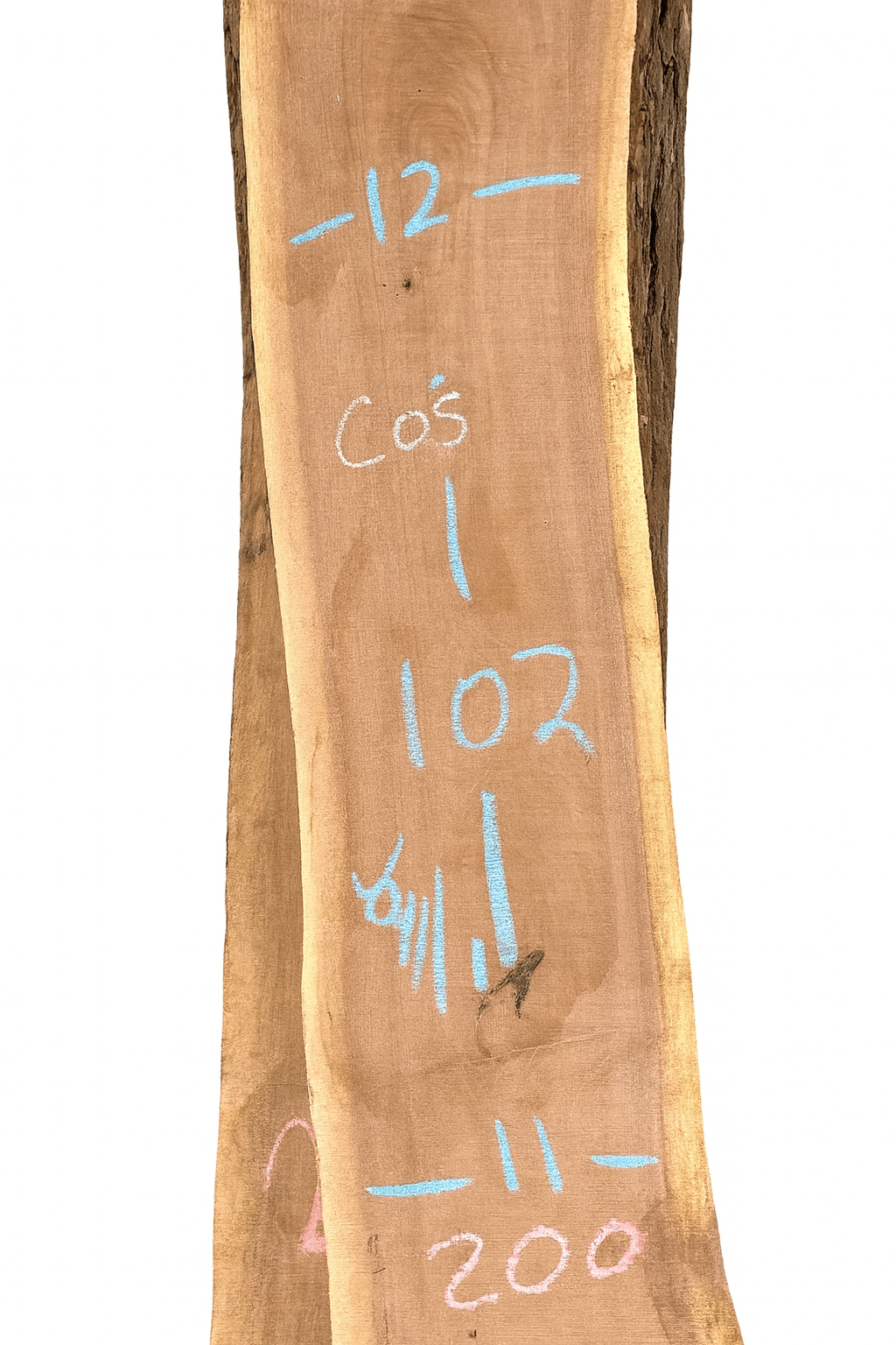 Walnut Live Edge Slab (C05) - Kingma Lumber
