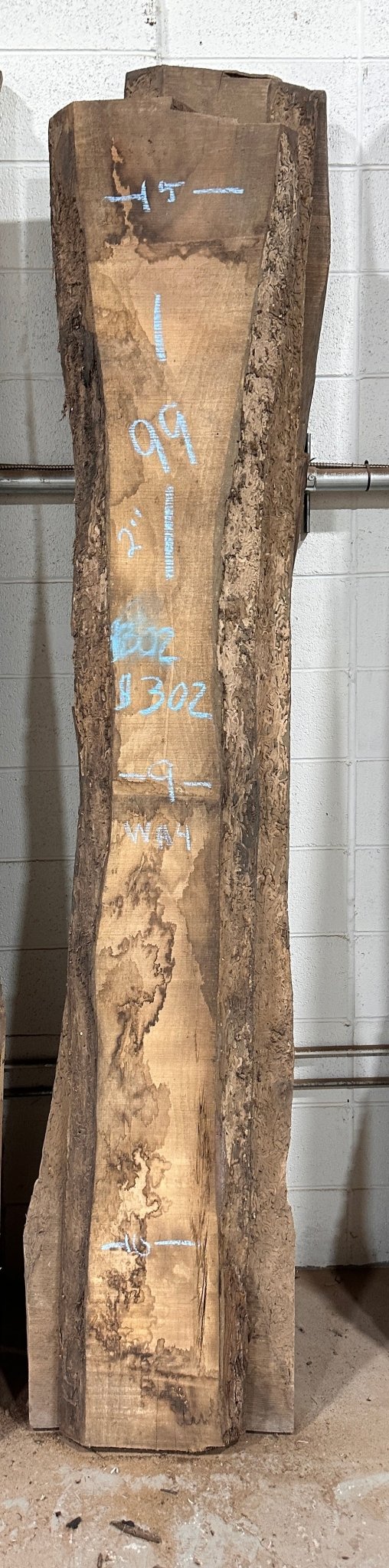 Walnut Live Edge Slab (WA4) - Kingma Lumber