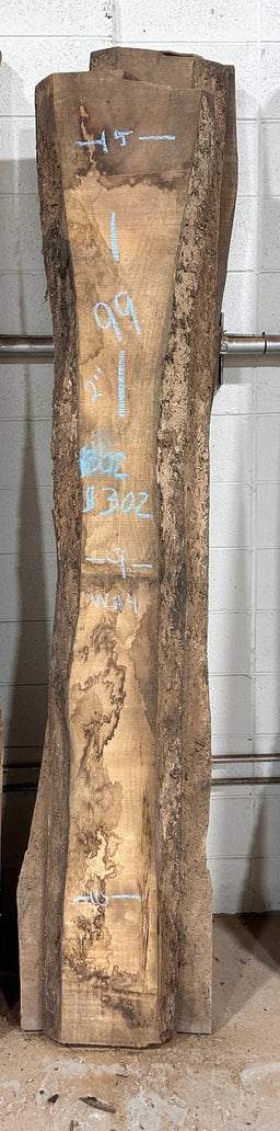 Walnut Live Edge Slab (WA4) - Kingma Lumber