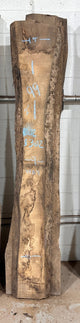 Walnut Live Edge Slab (WA4) - Kingma Lumber