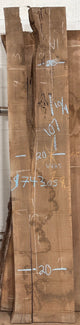 Walnut Live Edge Slab (WA5) - Kingma Lumber