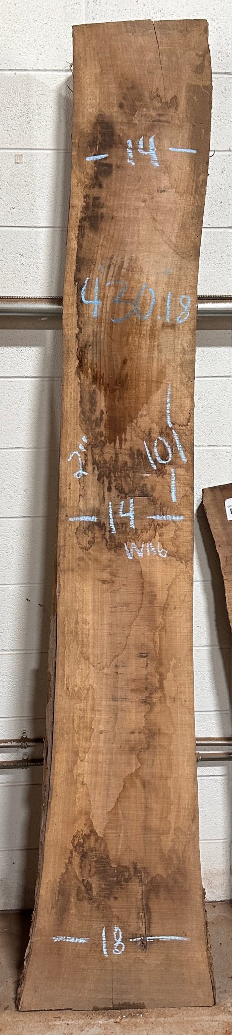 Walnut Live Edge Slab (WA6) - Kingma Lumber